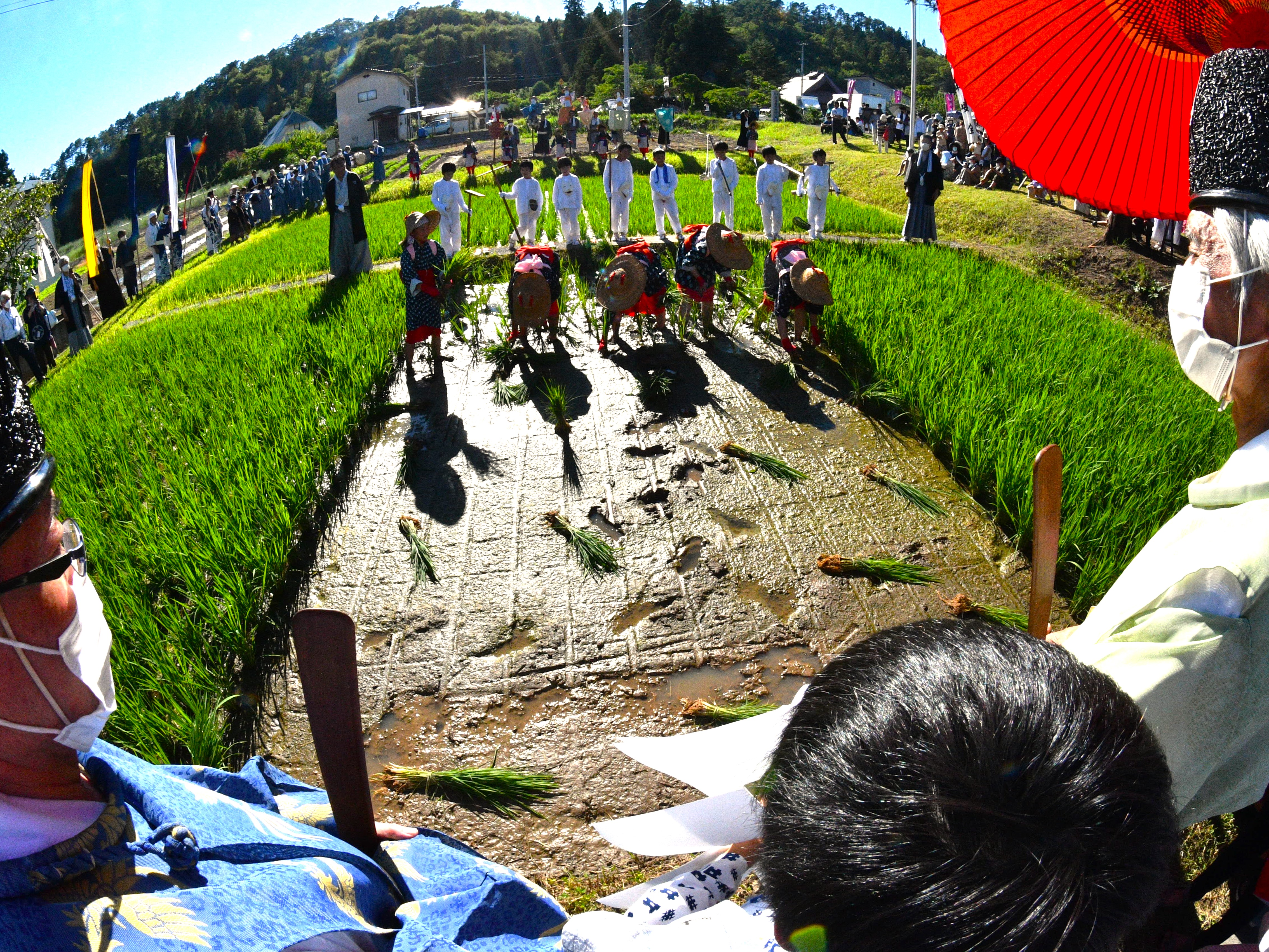 日本一のお田植え祭り