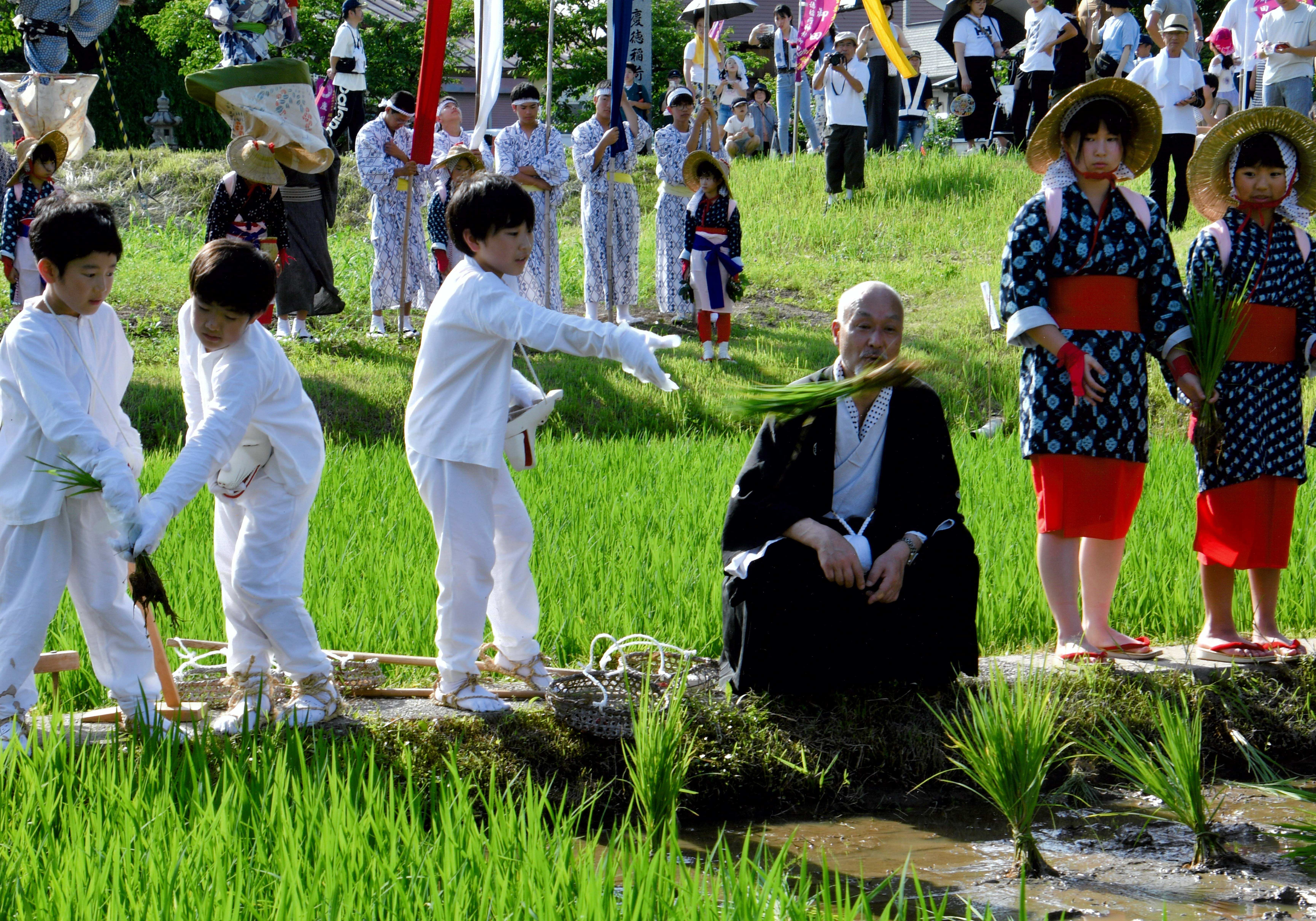 御田植え祭(苗打ち)