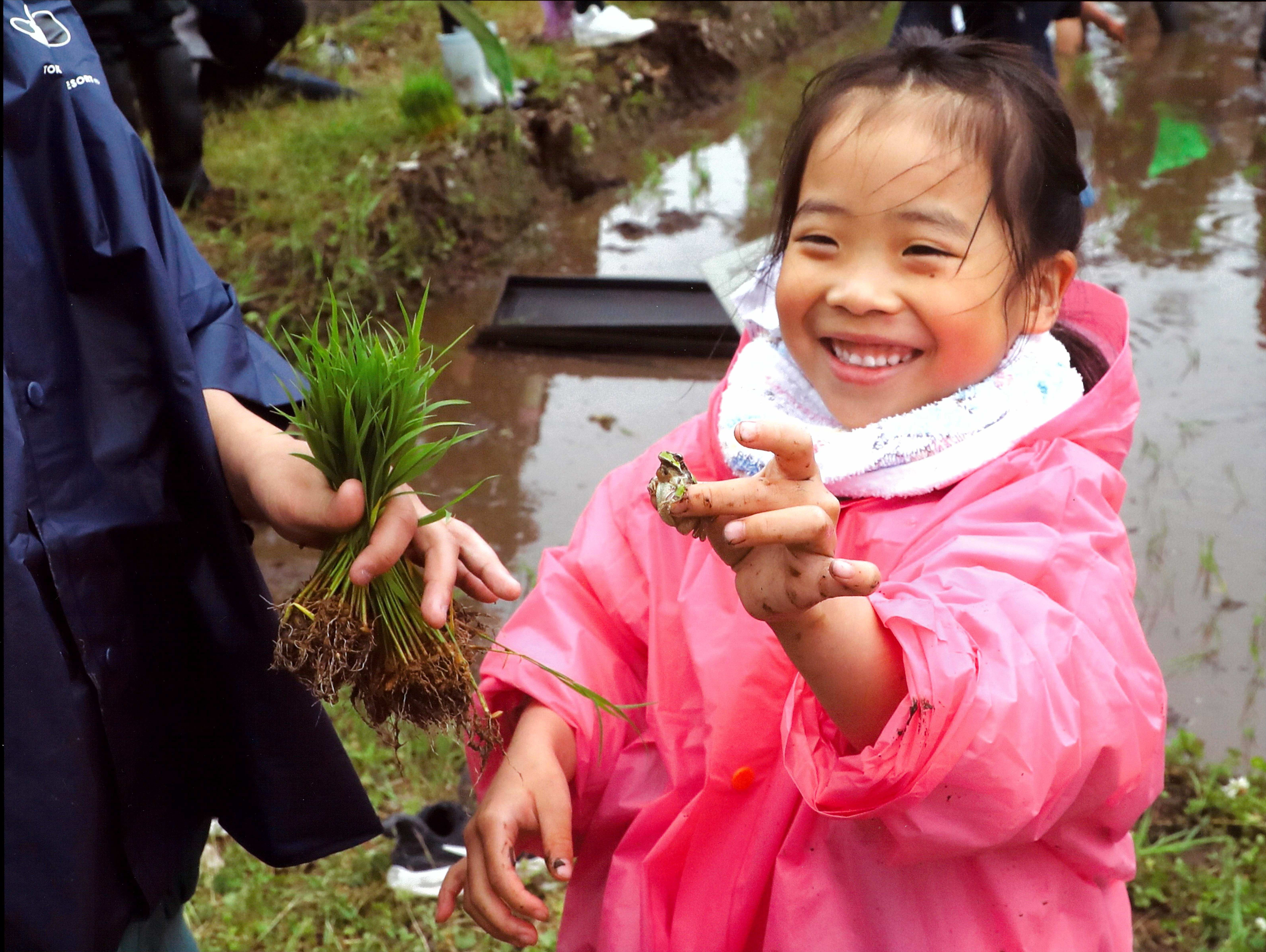カエルさんもお手伝い