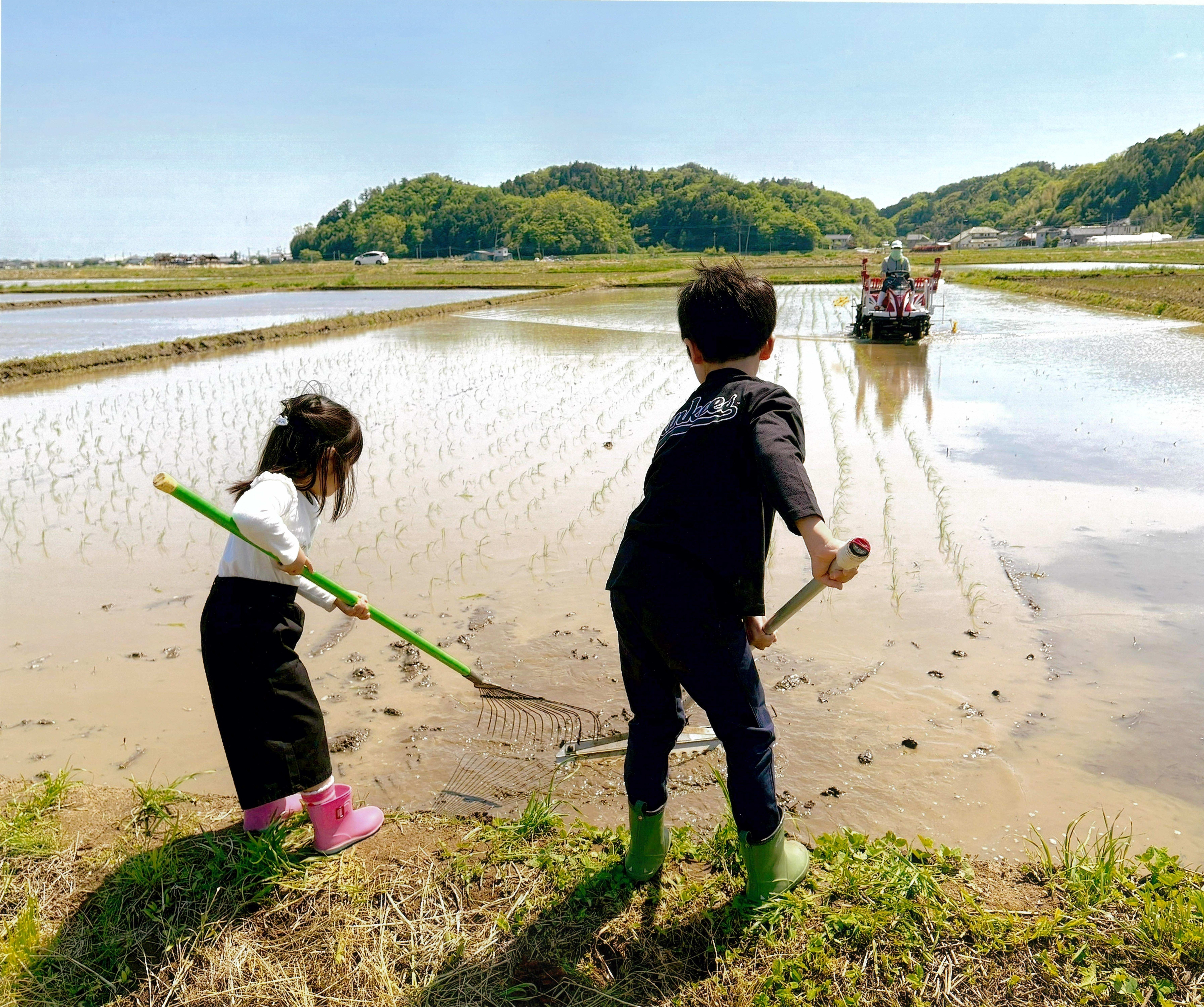 孫まごのお手伝い